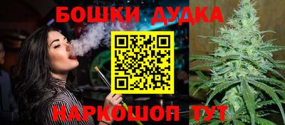 гидра Гусев