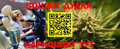гидра Гусев