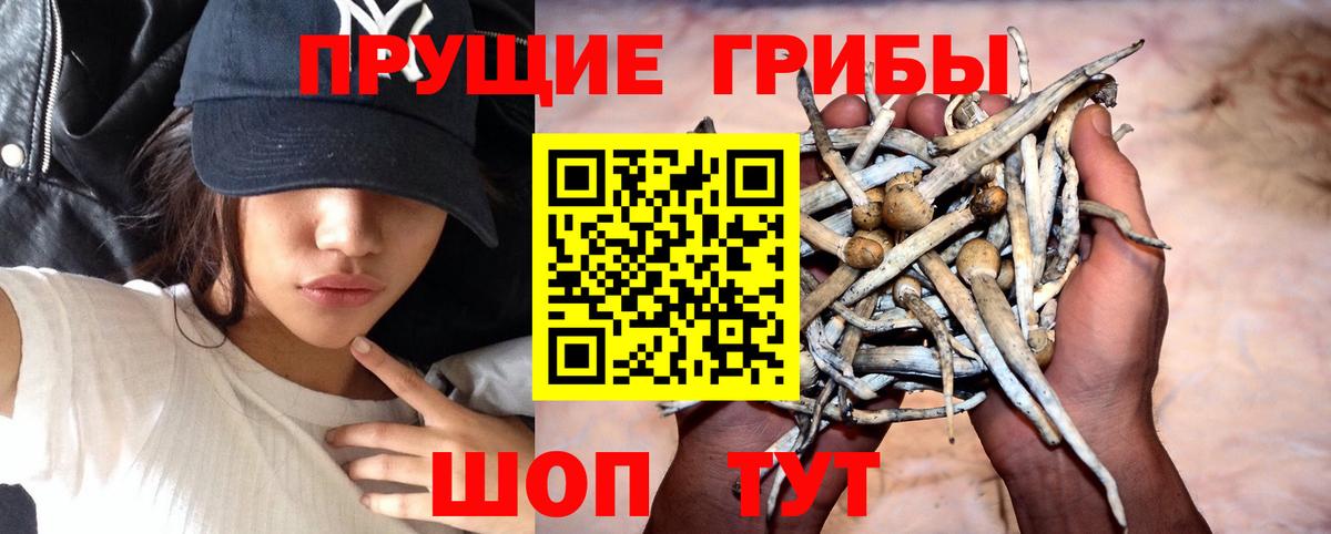 Галлюциногенные грибы MAGIC MUSHROOMS Озёры
